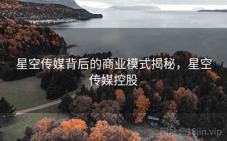 星空传媒背后的商业模式揭秘，星空传媒控股