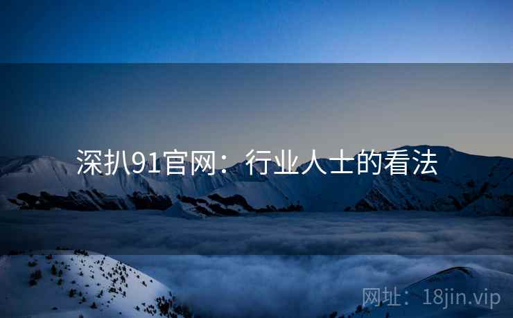 深扒91官网：行业人士的看法
