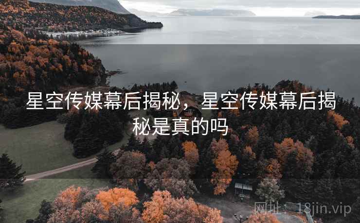 星空传媒幕后揭秘，星空传媒幕后揭秘是真的吗
