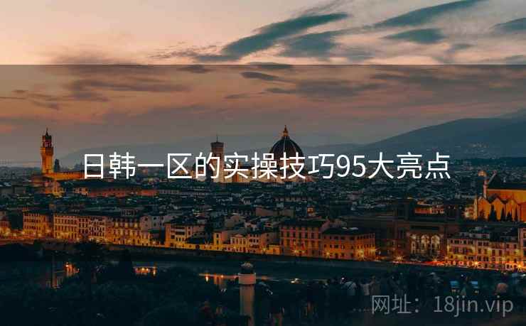 日韩一区的实操技巧95大亮点
