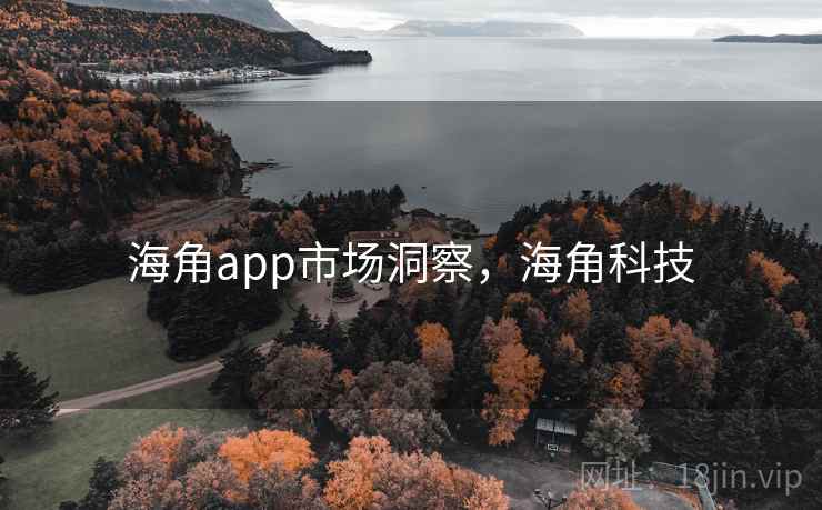 海角app市场洞察，海角科技