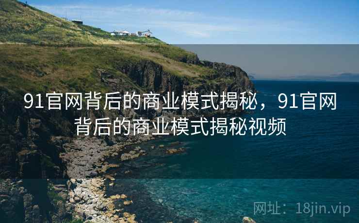 91官网背后的商业模式揭秘，91官网背后的商业模式揭秘视频