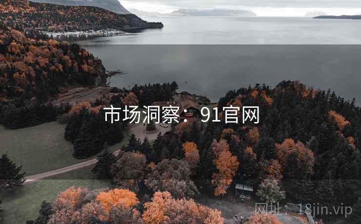 市场洞察：91官网