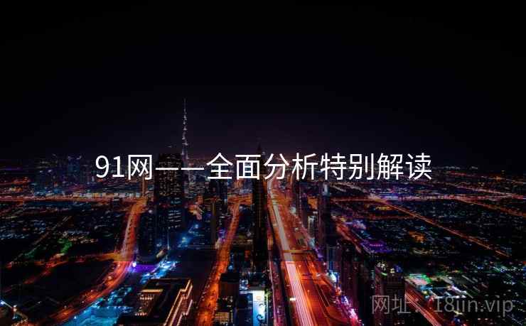 91网——全面分析特别解读