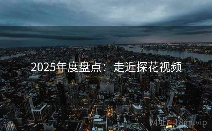 2025年度盘点:走近探花视频 2025年度盘点:走近探花视频